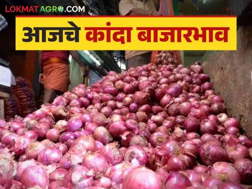 Onion Market : What is the arrivals of onion in the market; Read the price in detail | onion Market : बाजारात कांद्याची आवक किती; काय भाव मिळतोय ते वाचा सविस्तर