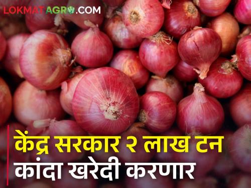 Central government will buy onion from farmers under price stabilization fund | केंद्र सरकार शेतकऱ्यांकडून मूल्य स्थिरिकरण निधी अंतर्गत कांदा खरेदी करणार