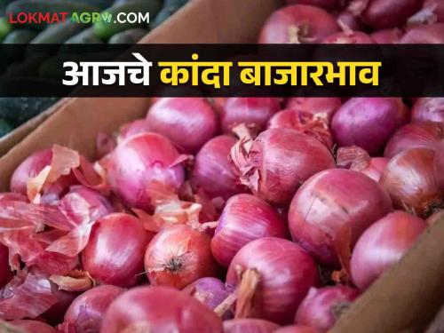 Latest News Todays Summer Onion price in nashik district market yard check here | Onion Bajarbhav : नाशिक जिल्ह्यात कांद्याला काय दर मिळतोय? वाचा आजचे बाजारभाव