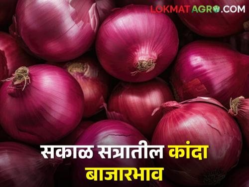 latest News 15 march Todays onion morning market price in maharashtra bajar samiti | लालसह उन्हाळ कांद्याच्या दरात घसरण, सकाळी बाजारभाव काय मिळाला? 