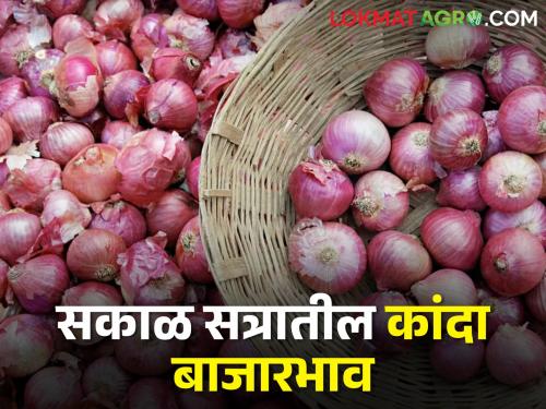 Latest News today's morning session onion market price in nashik and maharashtra | Onion Market : उन्हाळ कांदा घसरला, आजचे सकाळ सत्रातील कांदा बाजारभाव 