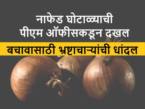 Nafed Scam: Nafed Onion Scam PM Office Takes notice, Vigilance Team of Gujarat Officials Entered Nashik | Nafed onion Scam: नाफेड कांदा घोटाळ्याची पीएमओने घेतली दखल, गुजरातच्या अधिकाऱ्यांचे दक्षता पथक नाशकात दाखल