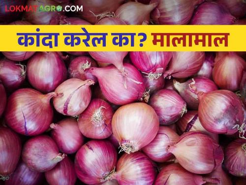 Kanda Bajarbhav: In the market committees onion arrival half, the price of onion goes to four thousand | Kanda Bajarbhav : बाजार समित्यांत कांदा आवक निम्म्यावर दर गेला चार हजारांवर