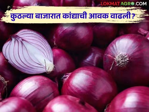 Latest News 05 june 2024 Todays Onion Market price in market yards see onion bajarbhav | Onion Bajarbhav : लाल-उन्हाळ कांदा दरात दिलासा, वाचा आजचे सविस्तर कांदा बाजारभाव