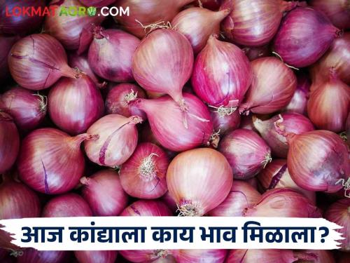 Latest News Todays Onion Market price in lasalgaon market yard check here | Onion Bajarbhav : लासलगाव बाजारात उन्हाळ कांदा घसरला, वाचा आजचे सविस्तर बाजारभाव