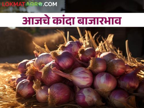 Latest News 06th feb 2024 todays onion market price in nashik maharashtra | लासलगाव बाजार समितीत काय भाव मिळाला? आजचे कांदा बाजारभाव 