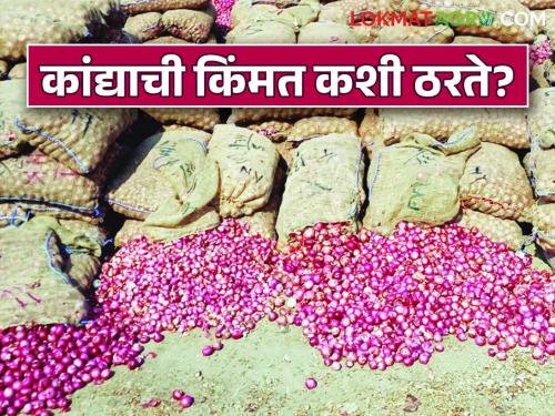 Onion Price : Read in detail how onion prices are determined in the Indian market | Onion Price : भारतीय बाजारपेठेमध्ये कांद्याच्या किमती कशा ठरवल्या जातात वाचा सविस्तर