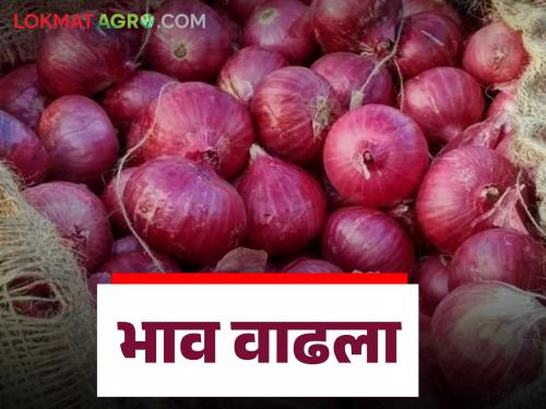 Kanda Bajar Bhav : In Ghodegaon Market Committee, the arrival of red onion has also increased and the price has also increased | Kanda Bajar Bhav : घोडेगाव बाजार समितीत लाल कांद्याची आवकही वाढली भावही वाढला