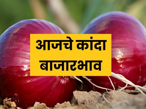 Today's onion market prices in Lasalgaon, Pimpalgaon, Pune and Nagar, solapur | कांदा बाजारभाव असे आहेत आज, जाणून घ्या कुठे मिळाला जास्त दर