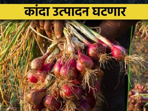 Latest News Onion production will decrease due to unseasonal rains | कांदा पिकावर रोगांचा प्रादुर्भाव, शेतकऱ्यांकडून पिके वाचविण्याचा प्रयत्न 