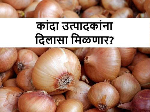 The government will buy five lakh tonnes of onion, in the next two to three days... | सरकार खरेदी करणार पाच लाख टन कांदा, येत्या दोन ते तीन दिवसांत...