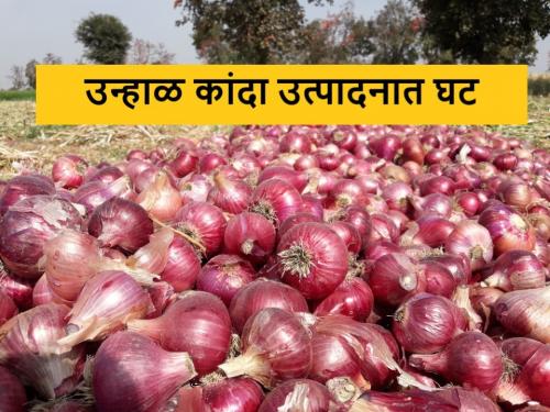 Latest News Fall in summer onion production In dhule district | धुळे जिल्ह्यात उन्हाळी कांदा उत्पादनात घट, खर्चाच्या तुलनेत भाव नाही!