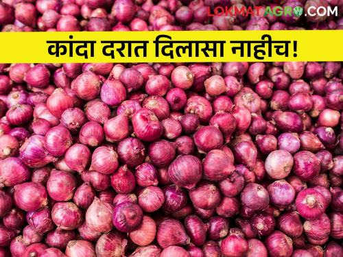 Latest News 03 feb 2024 todays onion market in nashik maharashtra | आवक घटली तरीही बाजारभाव जैसे थे, आजचे कांदा बाजारभाव 