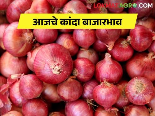 Latest News 07 feb 2024 todays onion rate in nashik maharashtra | कांदा परिस्थिती पाहणीसाठी पथक दौऱ्यावर, आजचे बाजारभाव काय? 