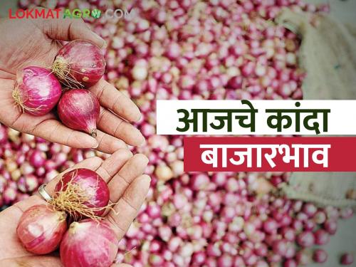 Latest News 12 Feb 2024 Todays onion Market Price in maharashtra | कांद्याला कुठे आणि कसा बाजारभाव मिळाला, जाणून घ्या आजचे कांदा बाजारभाव