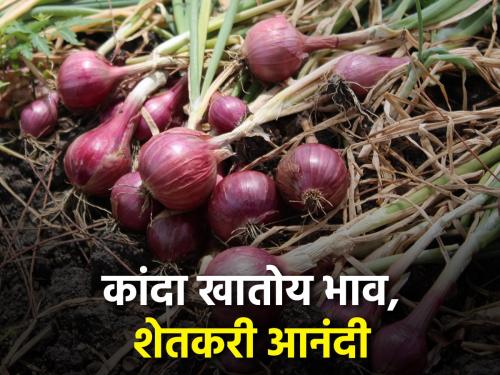 Good day to onion farmers | कांदा उत्पादक शेतकऱ्यांना अच्छे दिन