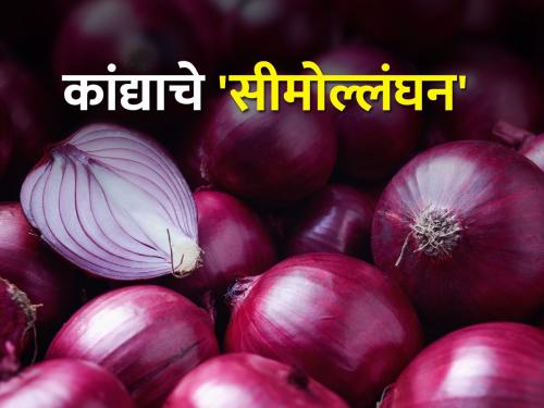 Dussehra smile of farmers due to increase in market price of onion | कांद्याच्या बाजारभाव वाढीने शेतकऱ्यांचा दसरा हसरा