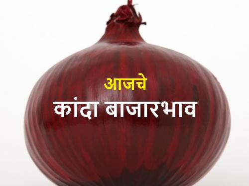 Onion procurement increased in country; know today's onion market prices | देशात कांदा आवक वाढली; आज असे आहेत कांदा बाजारभाव