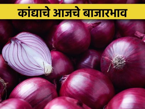 today's onion market prices after onion export ban | निर्यातबंदी नंतर आजचे कांदा बाजारभाव काय आहेत? जाणून घेऊ