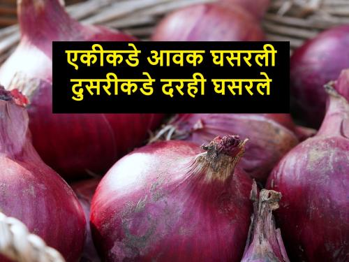 today's onion rates in Lasalgaon, Pimpalgaon, Maharashtra, Pune, Sambhajinagar | आवक घटूनही लासलगावला कांद्याचा बाजार घसरला; आजचा कांदा बाजारभाव कसा आहे?