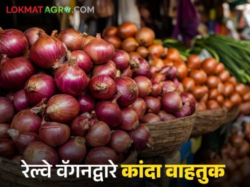 Latest News Onion transport across country by rail wagons, starting from November  | Onion Transport : रेल्वे वॅगनद्वारे देशभरात कांद्याची वाहतूक, नोव्हेंबरपासून प्रारंभ 