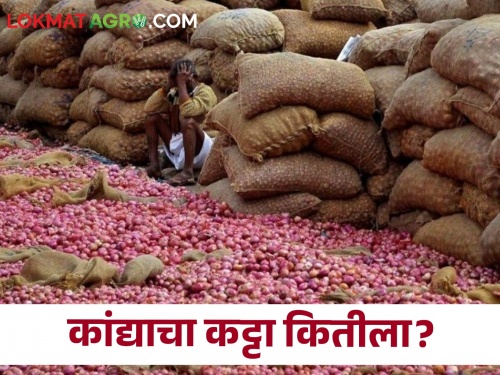 Latest News Market price of 40 kg sack of onion in rural area check Details | कांद्याच्या कट्ट्याला गावाकडं मागणी वाढली, सरासरी काय भाव मिळतोय? 