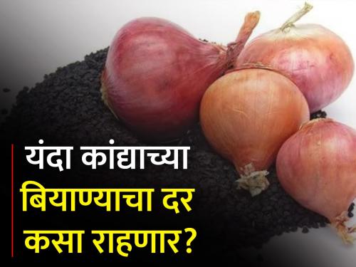 Onion area is expected to be less this year due to insufficient rainfall | अपुऱ्या पाऊसामुळे यंदा कांद्याचे क्षेत्र कमी राहण्याचा अंदाज