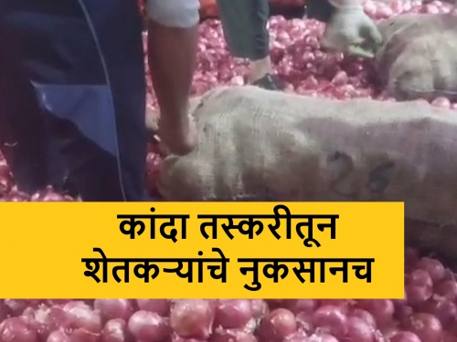 'Smuggling' of onions via potatos and oranges shipment due to onion export ban | निर्यातबंदीमुळे बटाटे, द्राक्ष, संत्र्याआड कांद्याची ‘स्मगलिंग’