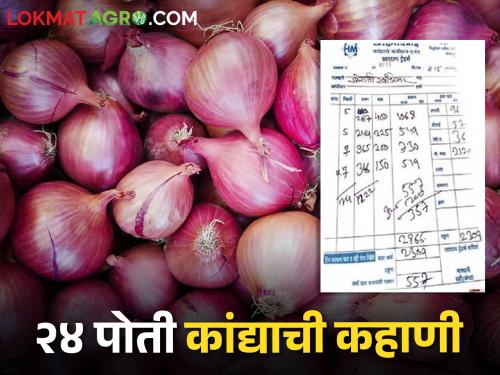 Farmer sold 24 bag of onion in Solapur market and got how much Rupees | Onion Market सोलापूर मार्केटमध्ये शेतकऱ्याने २४ पोती कांदा विकला आणि हातात आले इतके रुपये