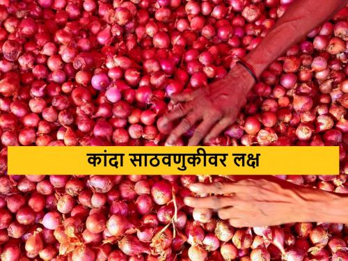 Latest News Tendency of farmers to store onion instead of selling it at low price | उन्हाळ कांदा काढणी वेगात, मातीमोल दरात कांदा देण्यापेक्षा साठवण करण्यास अधिक पसंती