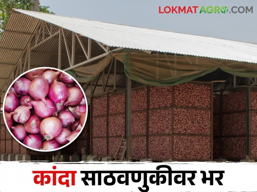 Due to low price, emphasis on onion storage, farmers expect price hike | अल्पदरामुळे कांदा साठवणुकीवर भर, शेतकऱ्यांना दरवाढीची अपेक्षा