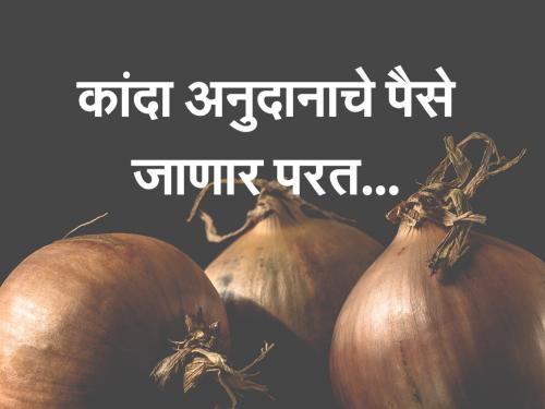 farmers asked to pay back Onion subsidy | या शेतकऱ्यांना कांदा अनुदानाचे पैसे करावे लागणार परत, असा आहे प्रकार