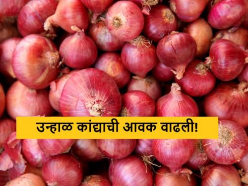 Latest News 12 april Todays Summer Onion Market Price in maharashtra market yards | Onion Market : उन्हाळ कांद्याची आवक वाढली, आज कुठे-काय भाव मिळाला? वाचा सविस्तर 