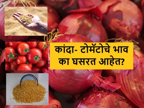 market rate price analysis for onion, tomato, soyabean, tur | कांद्याच्या किंमतींचे उलटे संक्रमण, टोमॅटोची लाली फिकी; सोयाबीन-तूरीची काय आहे स्थिती?