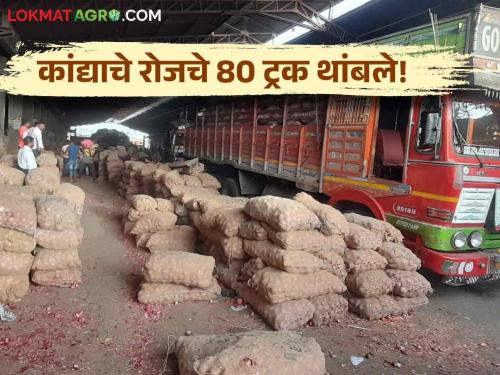 Latest news Bangladesh Protest Hundreds of onion trucks got stuck on India-Bangladesh border see details | Bangladesh Protest : अराजकतेचा फटका; नाशिकहून बांगलादेशला जाणारे कांद्याचे रोजचे 80 ट्रक थांबले!