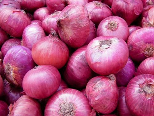 After tomatoes, now the number of onions! Onion will be sold at Rs 25 per kg from today | टोमॅटो पाठोपाठ आता कांद्याचा नंबर! आजपासून २५ रुपये किलो दराने कांदा विकणार