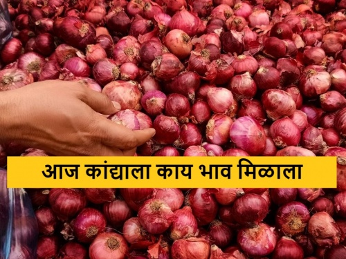 Latest news todays Onion Market Price on eid 2024 see details | Onion Market : ईदला कांद्याचा बाजारभाव कसा राहिला? जाणून घ्या आजचे सविस्तर दर 