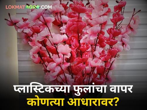 Plastic Flowers Use of plastic flowers despite ban Notice Central State Govt of High Court | Plastic Flowers : बंदी असूनही प्लास्टिकच्या फुलांचा वापर; हायकोर्टाची केंद्र, राज्य सरकारला नोटीस