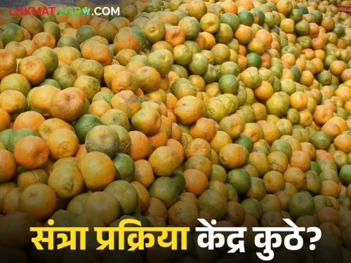 latest news Orange Processing Center: Orange Processing Center announced; Implementation still zero! read in details | Orange Processing Center : संत्रा प्रक्रिया केंद्राची घोषणा; अंमलबजावणी मात्र अद्याप शून्यच! वाचा सविस्तर