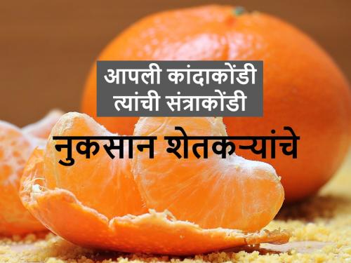 Demand for Nagpuri oranges among Bangladeshi citizens but.... | कांद्याला निर्यातशुल्काचा; तर नागपूरी संत्र्याला बांगलादेशच्या आयातशुल्काचा फटका