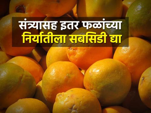Agricultural export policy hits orange growers | शेतमाल निर्यात धोरणाचा संत्रा उत्पादकांना फटका
