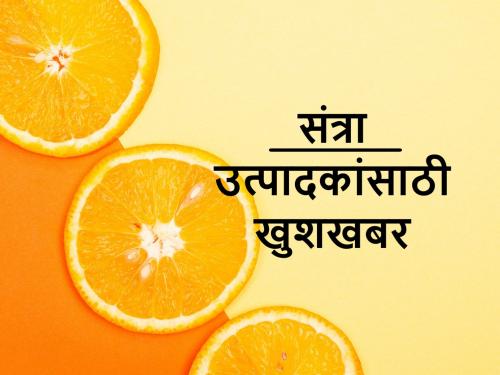 Good news for orange growers; Approval for setting up processing centres in Vidarbha | विदर्भात संत्रा प्रक्रिया केंद्रांच्या उभारणीसाठी राज्य शासनाची मान्यता