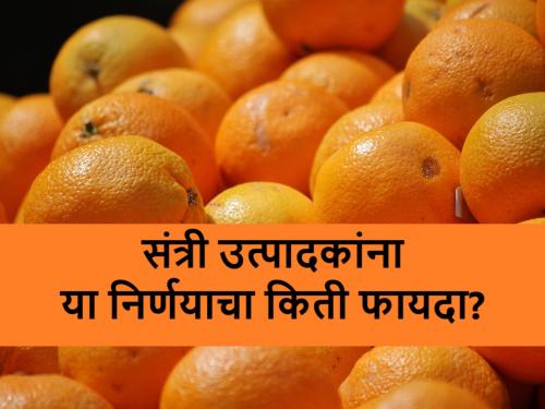 How Nagpur orange farmers will benefited by citrus estate scheme | लिंबूवर्गीय फळपिकांसाठीच्या तीन सिट्रस इस्टेटसाठी ७ कोटींचा निधी