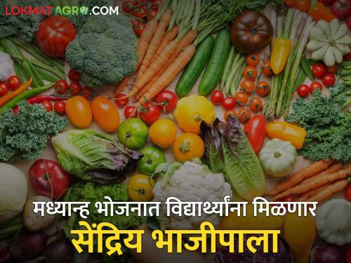 Students will now get fresh organic vegetables from the backyard in mid-day meal! | विद्यार्थ्यांना आता मध्यान्ह भोजनात परसबागेतील ताजा सेंद्रिय भाजीपाला मिळणार!