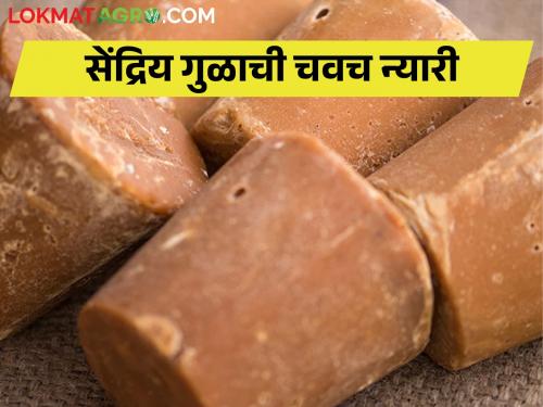 Organic jaggery is beneficial for health, cures different diseases | आरोग्यासाठी लाभदायी सेंद्रिय गूळ, पळवी आजाराला दूर