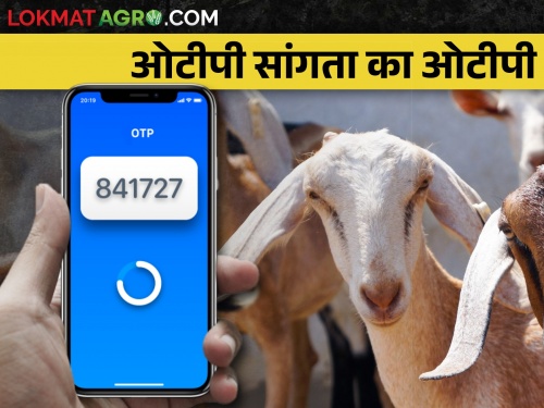 Obstacle of OTP for registering for livestock rearer farmer on Bharat Pashudhan app | भारत पशुधन ॲपवर नोंदणीसाठी ओटीपी चा अडथळा