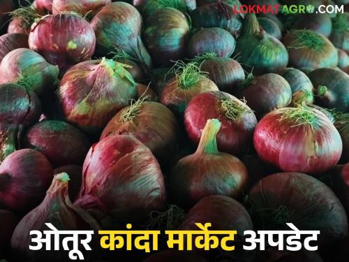 Kanda Bajar Bhav : Large arrival of onions in Otur Market Committee; How did you get the price? | Kanda Bajar Bhav : ओतूर बाजार समितीत कांद्याची मोठी आवक; कसा मिळाला दर?