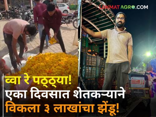 Success Story: Wow! A farmer's son sold a marigold worth 3 lakhs in one day; Profit of two and a half lakhs | Success Story : व्वा रे पठ्ठ्या! शेतकरी पुत्राने एका दिवसात विकला ३ लाखांचा झेंडू; अडीच लाखाचा नफा