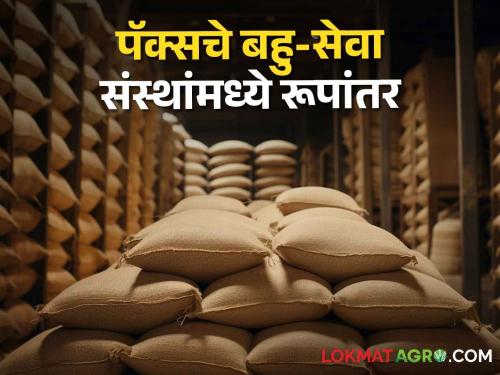 From the world's largest grain storage scheme | Food Grain Godown जगातील सर्वात मोठ्या धान्य साठवणूक योजनेतून देशात गोदामांची साखळी