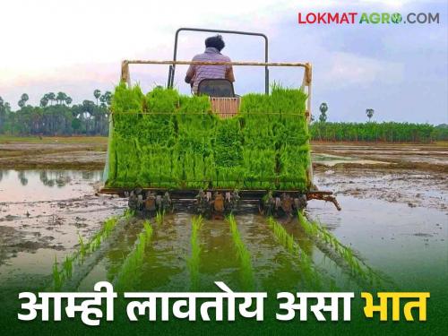 We are planting paddy with the help of this machine to overcome labor shortage | मजूर टंचाईवर केली मात या यंत्राच्या सहाय्याने लावतोय आम्ही भात